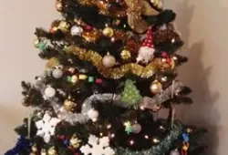 132573359_385302172732585_4055668039915128420_n