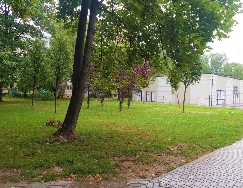 Przedszkole High Five od zewnątrz